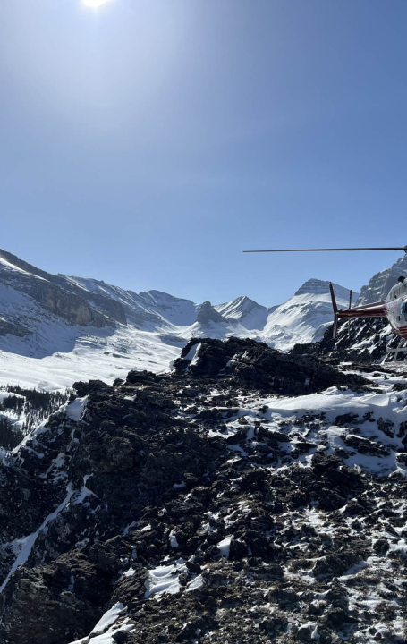 Bell 206 B Jet Ranger