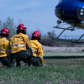 Forestry & WIldfire Fighting