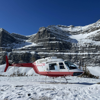 Bell 206 B Jet Ranger